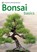 Bonsai Basics, Colin Lewis - Paperback - 9780600619109