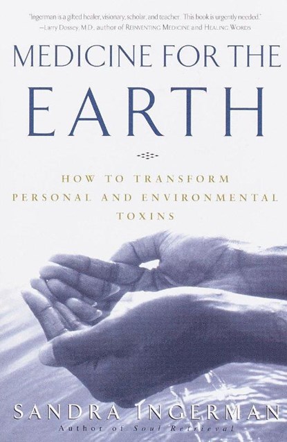 Medicine for the Earth, Sandra Ingerman - Paperback - 9780609805176