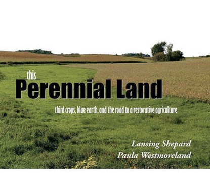 This Perennial Land, SHEPARD,  Lansing ; Westmorelnad, Paula - Paperback - 9780615410050