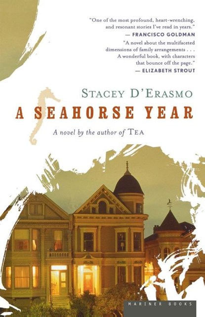 A Seahorse Year, Stacey D'Erasmo - Paperback - 9780618618873