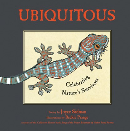 Ubiquitous, Sidman Joyce Sidman ; Prange Beckie Prange - Gebonden - 9780618717194