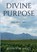 Divine Purpose, RAATS,  Joshua M - Paperback - 9780620973601
