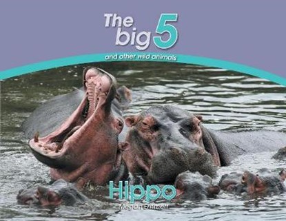 Hippo, Megan Emmett - Paperback - 9780639300078