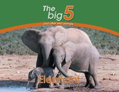 Elephant, Megan Emmett - Paperback - 9780639300108