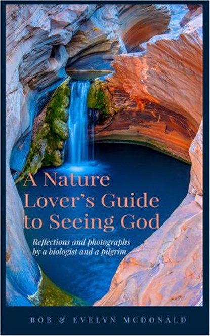 A Nature Lover's Guide to Seeing God, Bob McDonald ; Evelyn McDonald - Ebook - 9780645044638
