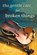 The Gentle Care for Broken Things, Steven Gadd - Paperback - 9780645204599