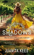 Shadows: A Small Town Romantic Suspense