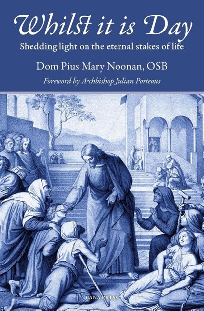 Whilst It Is Day, Pius Mary Noonan - Paperback - 9780648868859