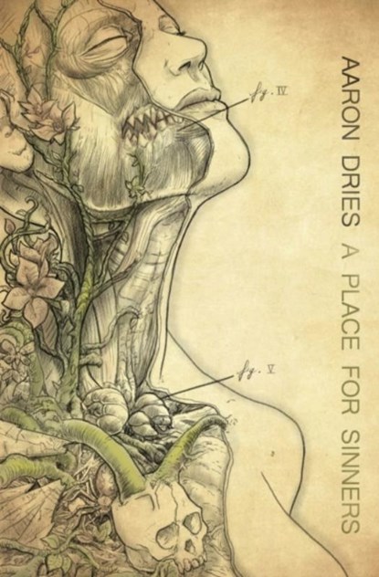 A Place For Sinners, DRIES,  Aaron - Paperback - 9780648994503