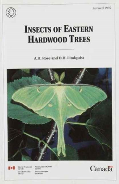 Insects of Eastern Hardwood Trees, A. H. Rose ; O. H. Lindquist ; K. L. Nystrom ; Canadian Forest Service - Paperback - 9780660169033