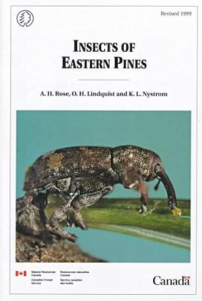 Insects of Eastern Pines, A. H. Rose ; O. H. Lindquist ; K. L. Nystrom ; Canadian Forest Service - Paperback - 9780660177205