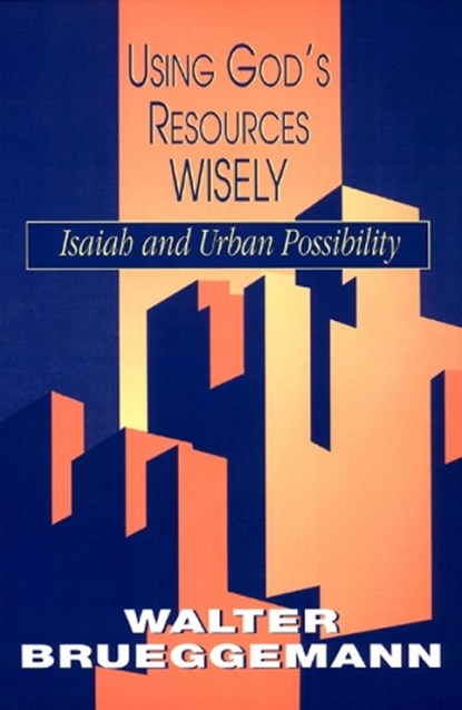 Using God's Resources Wisely, BRUEGGEMANN,  Walter - Paperback - 9780664254605