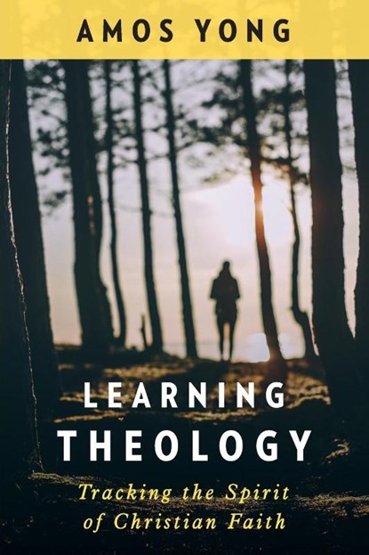 Learning Theology, Amos Yong - Paperback - 9780664263966