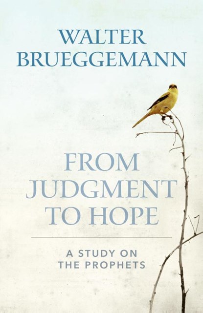 From Judgment to Hope, Walter Brueggemann - Paperback - 9780664265519