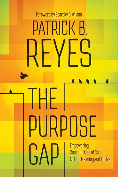 The Purpose Gap, Patrick B. Reyes - Paperback - 9780664266707