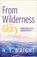 From Wilderness to Glory, N T Wright - Paperback - 9780664268862