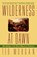 Wilderness at Dawn, Ted Morgan - Paperback - 9780671882372
