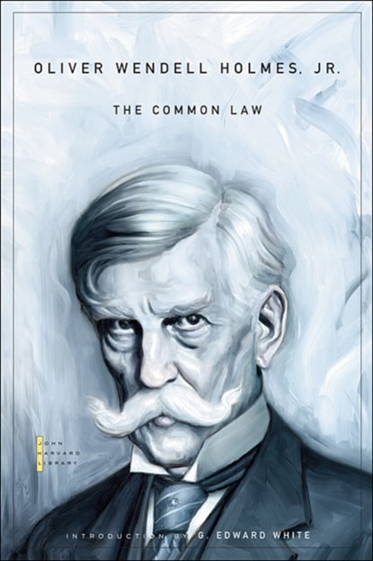 The Common Law, Oliver Wendell Holmes - Paperback - 9780674034020