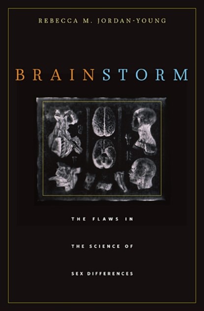 Brain Storm, Rebecca M. Jordan-Young - Paperback - 9780674063518