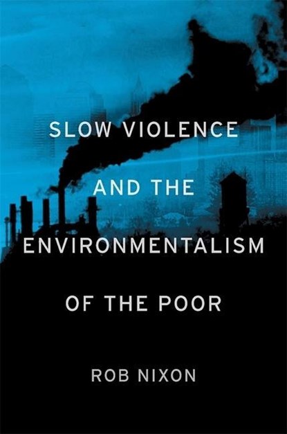 Slow Violence and the Environmentalism of the Poor, Rob Nixon - Paperback - 9780674072343