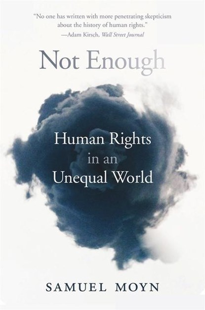 Not Enough, Samuel Moyn - Paperback - 9780674241398