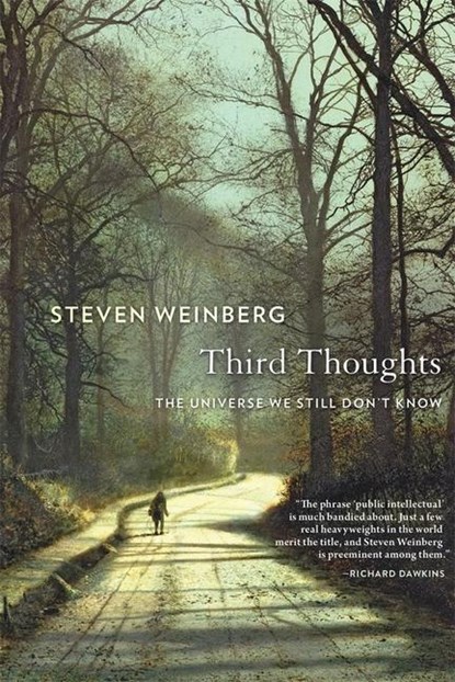 Third Thoughts, Steven Weinberg - Paperback - 9780674241473