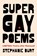 Super Gay Poems, Stephanie Burt - Gebonden - 9780674273115