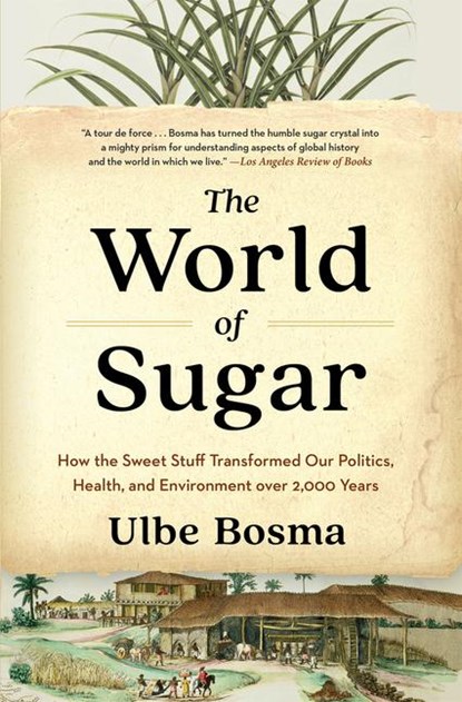 The World of Sugar, Ulbe Bosma - Paperback - 9780674299085