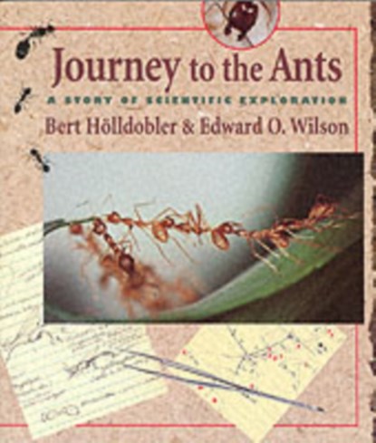Journey to the Ants, Bert Holldobler ; Edward O. Wilson - Paperback - 9780674485266