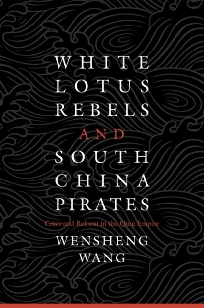 White Lotus Rebels and South China Pirates, Wensheng Wang - Gebonden - 9780674725317