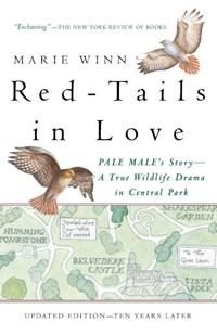 Red-Tails in Love | Marie Winn | 