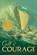 Call It Courage, Armstrong Sperry - Paperback - 9780689713910