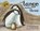 AND TANGO MAKES 3, Justin Richardson ; Peter Parnell - Gebonden - 9780689878459