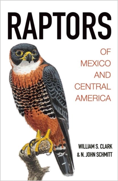Raptors of Mexico and Central America, William S. Clark ; N. John Schmitt - Gebonden - 9780691116495
