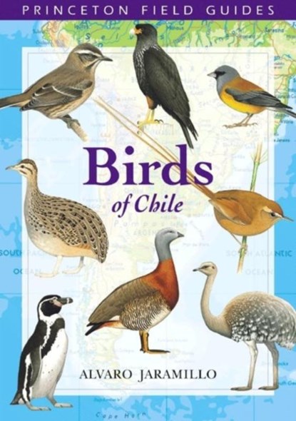 Birds of Chile, Alvaro Jaramillo - Paperback - 9780691117409