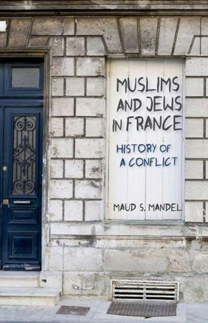 Muslims and Jews in France, Maud S. Mandel - Gebonden - 9780691125817