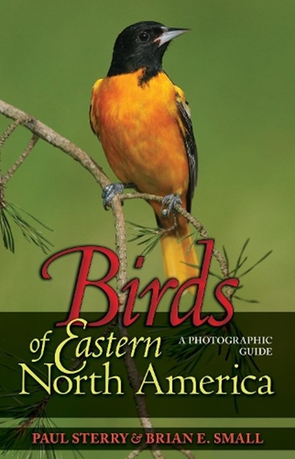 Birds of Eastern North America, Paul Sterry ; Brian E. Small - Paperback - 9780691134260