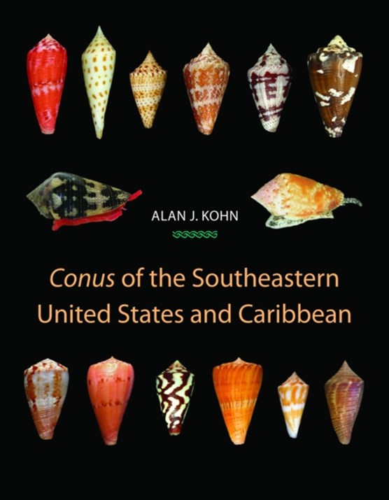 Conus of the Southeastern United States and Caribbean