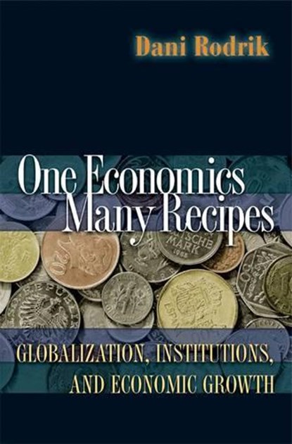 One Economics, Many Recipes, Dani Rodrik - Paperback - 9780691141176
