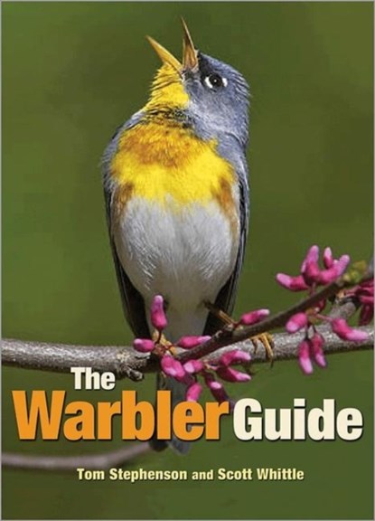 The Warbler Guide, Tom Stephenson ; Scott Whittle - Paperback - 9780691154824