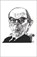The Hedgehog and the Fox, Isaiah Berlin - Paperback - 9780691156002