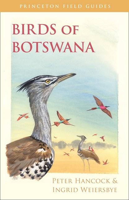 Birds of Botswana, Peter Hancock ; Ingrid Weiersbye - Paperback - 9780691157177