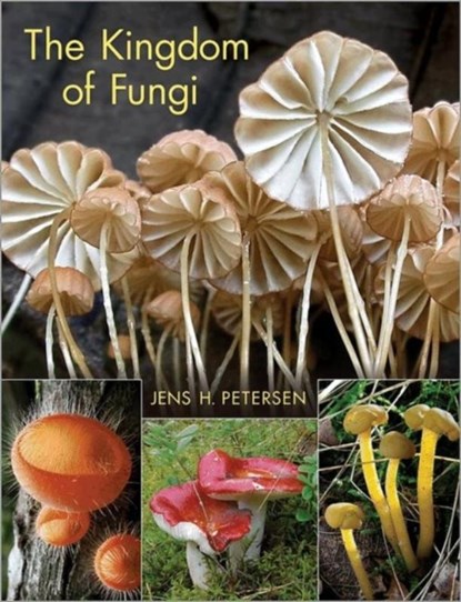 The Kingdom of Fungi, Jens H. Petersen - Gebonden - 9780691157542