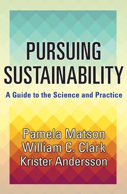 Pursuing Sustainability, Pamela Matson ; William C. Clark ; Krister Par Andersson - Gebonden - 9780691157610