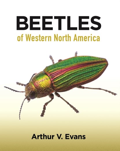 Beetles of Western North America, Arthur V. Evans - Paperback - 9780691164281