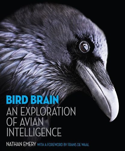 Bird Brain, Nathan Emery - Gebonden - 9780691165172