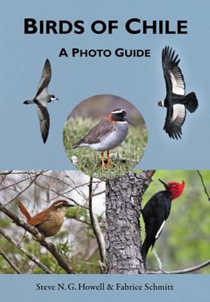 Birds of Chile, Steve N. G. Howell ; Fabrice Schmitt - Paperback - 9780691167398