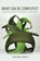 What Can Be Computed?, John MacCormick - Gebonden - 9780691170664