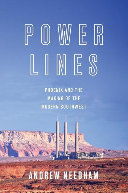 Power Lines, Todd Andrew Needham - Paperback - 9780691173542