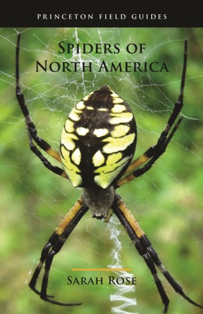 Spiders of North America, Sarah Rose - Paperback - 9780691175614